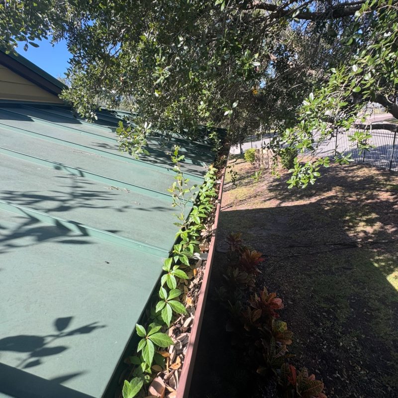 gutter-cleaning (1)
