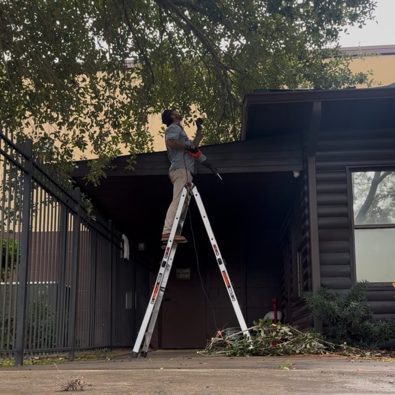 gutter-cleaning (3)