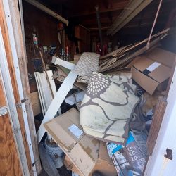 DGD Dumping_0000_IMG_8705