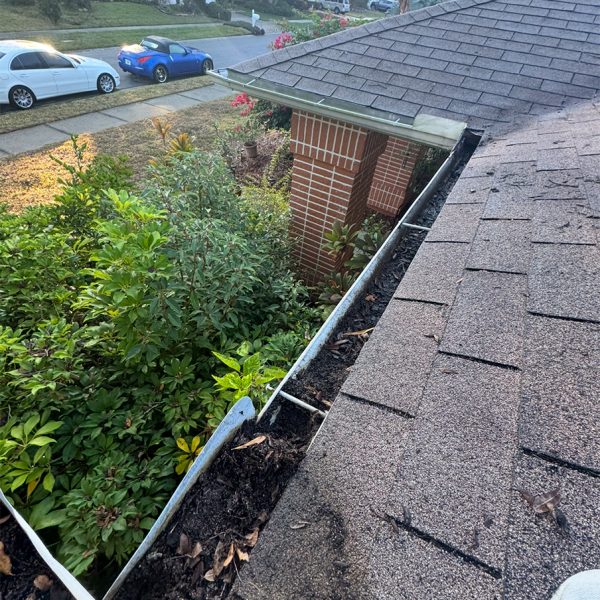 DGD Dumping 0001 IMG 8693