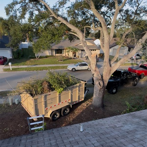 DGD Dumping 0012 IMG 8692