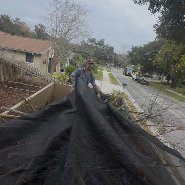 DGD Dumping 0017 IMG 8687