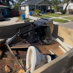 DGD Dumping_0019_IMG_8685