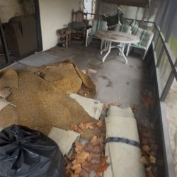 DGD Dumping_0020_IMG_8684