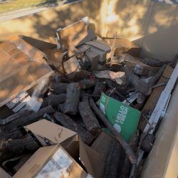 DGD Dumping_0023_Layer 0