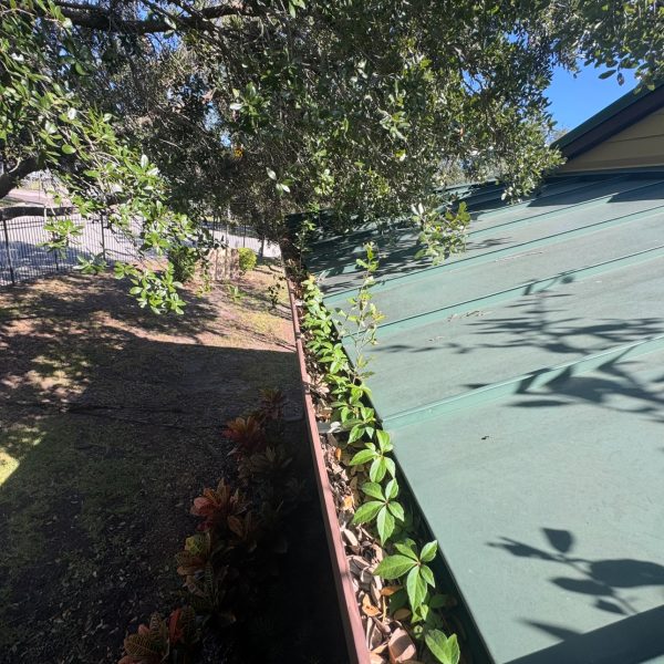 Gutter cleaning flipped 1